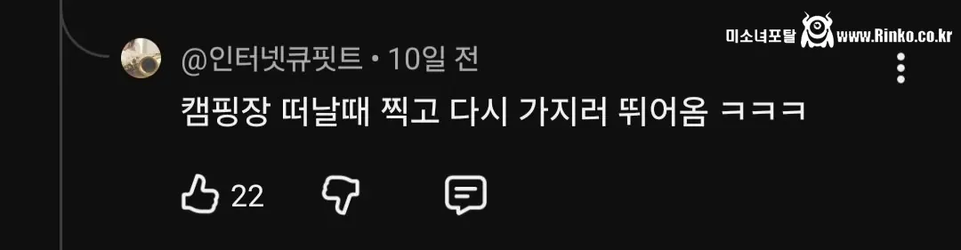 브이로그 다 가짜라는 여배우