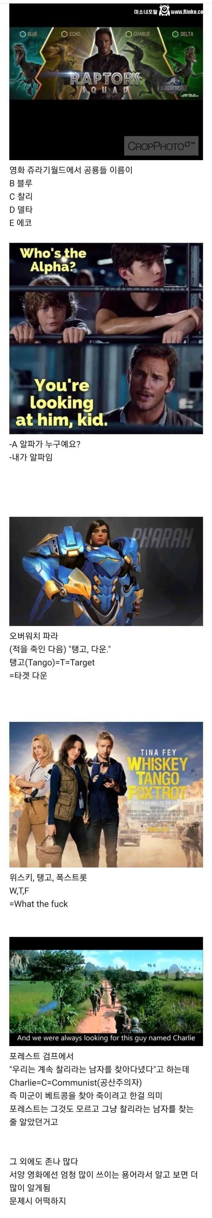 영화에서 알았다를 “라저댓”이라고 하는 이유