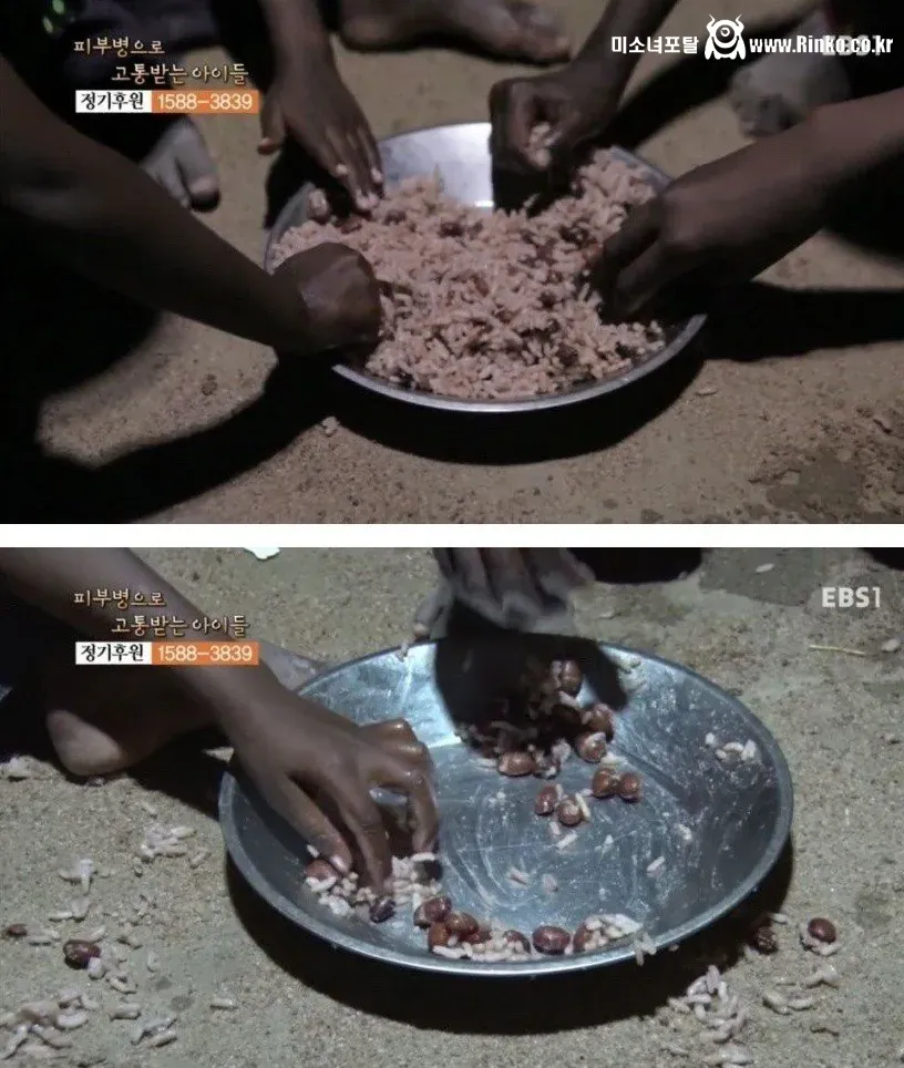 콩이 엄청난 음식인 이유