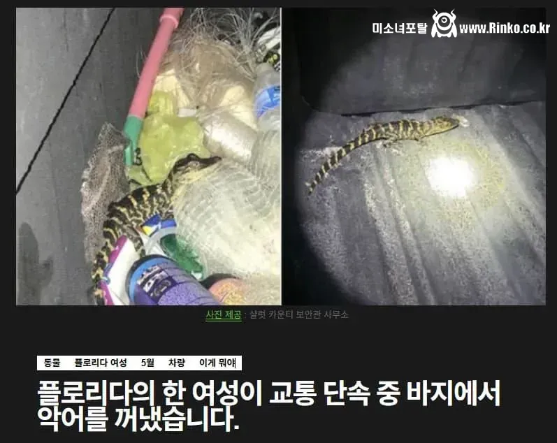 GTA 6 트레일러 고증 수준