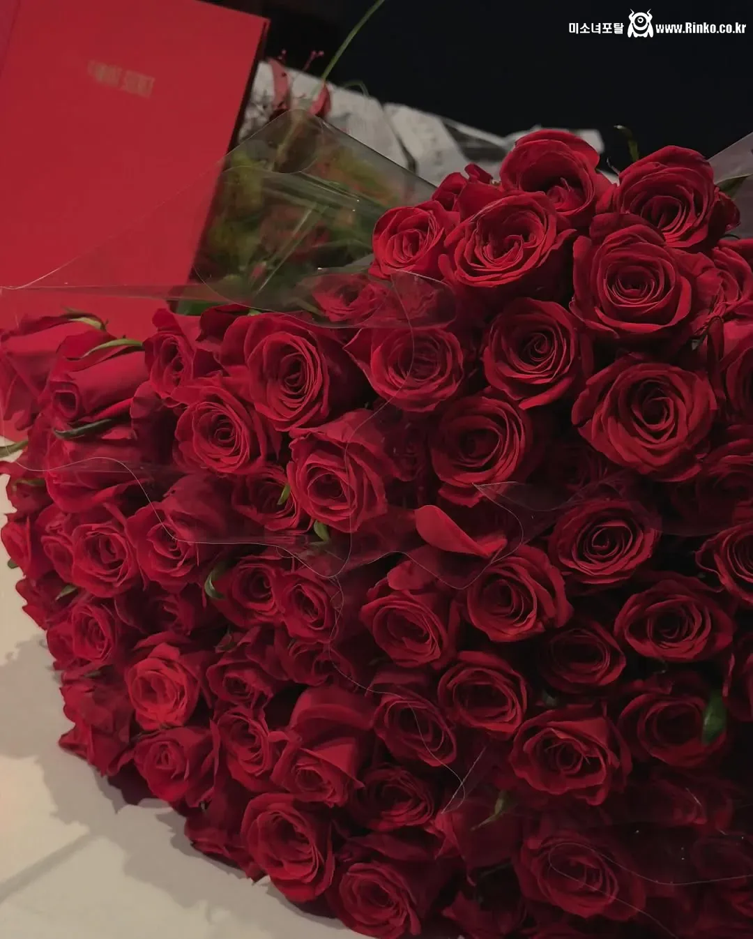 흑백요리사 손종원 셰프 식당에 방문한 장원영