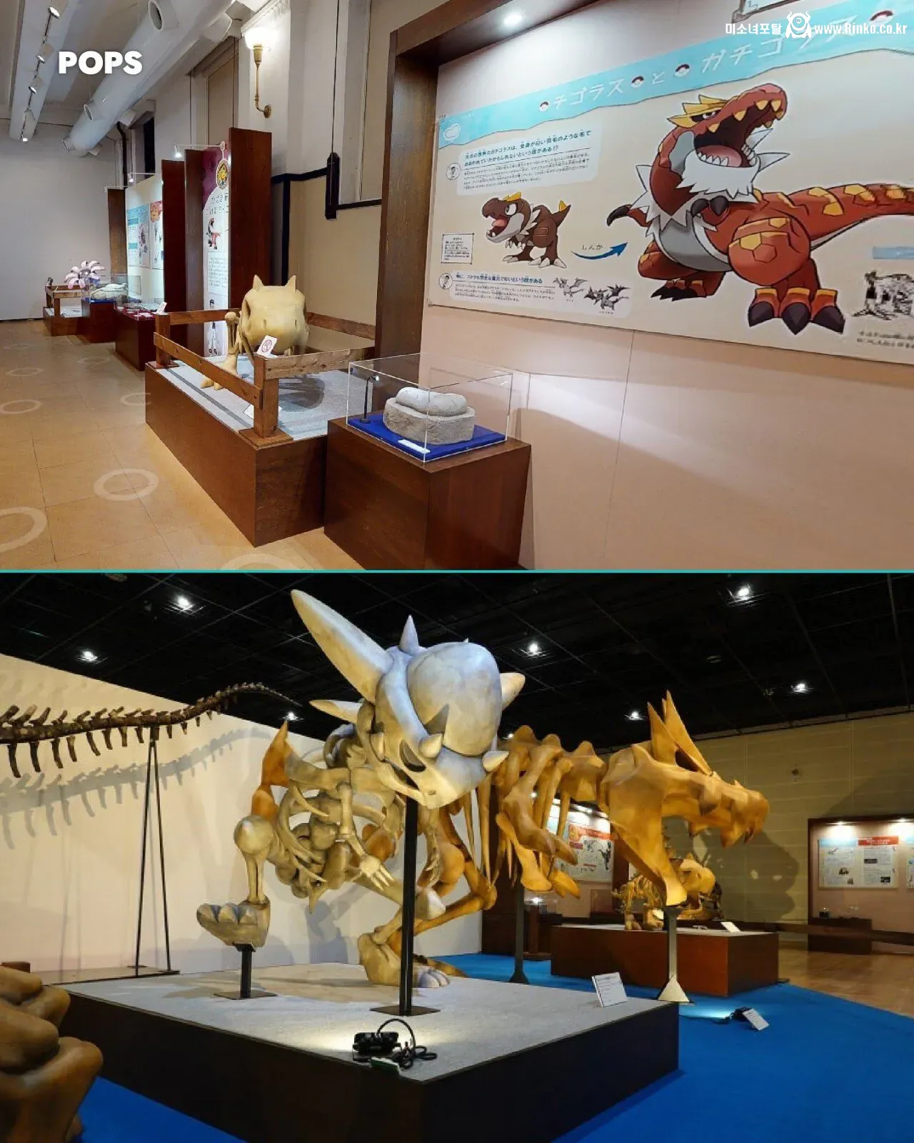 포켓몬이 실존 한다는 증거