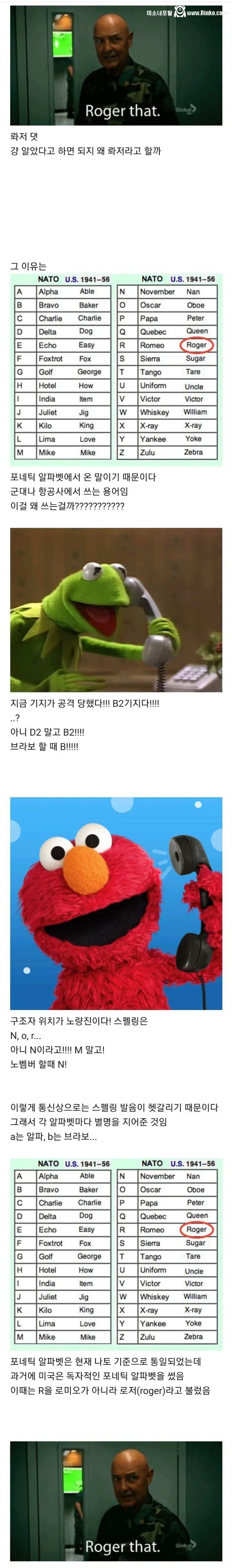 영화에서 알았다를 “라저댓”이라고 하는 이유