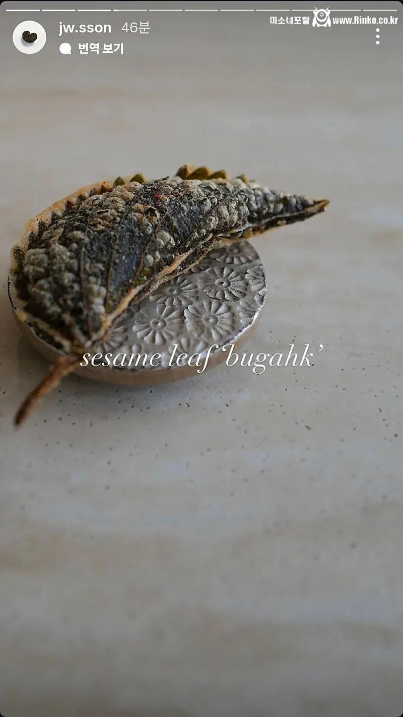 손종원셰프가 요리사진 찍는방법