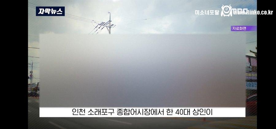 이 와중에 인천 소래포구 근황