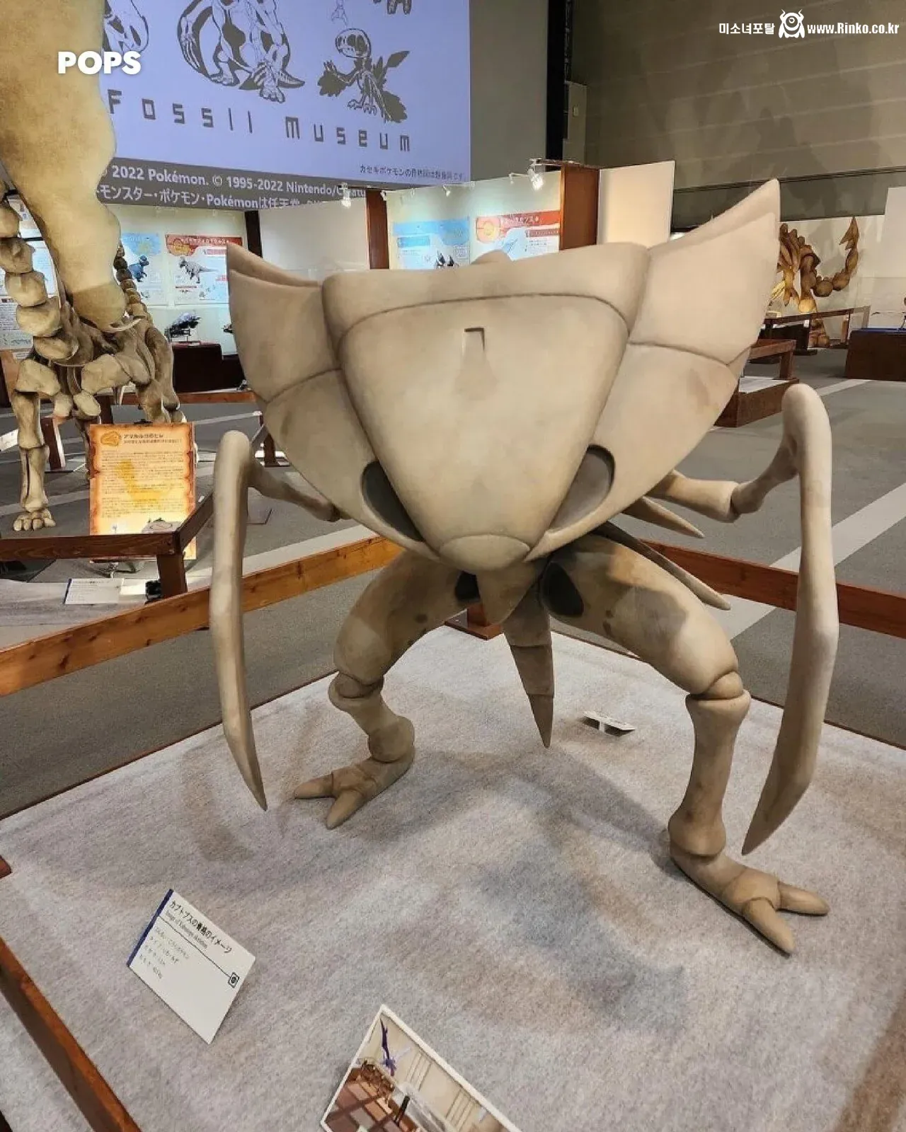 포켓몬이 실존 한다는 증거