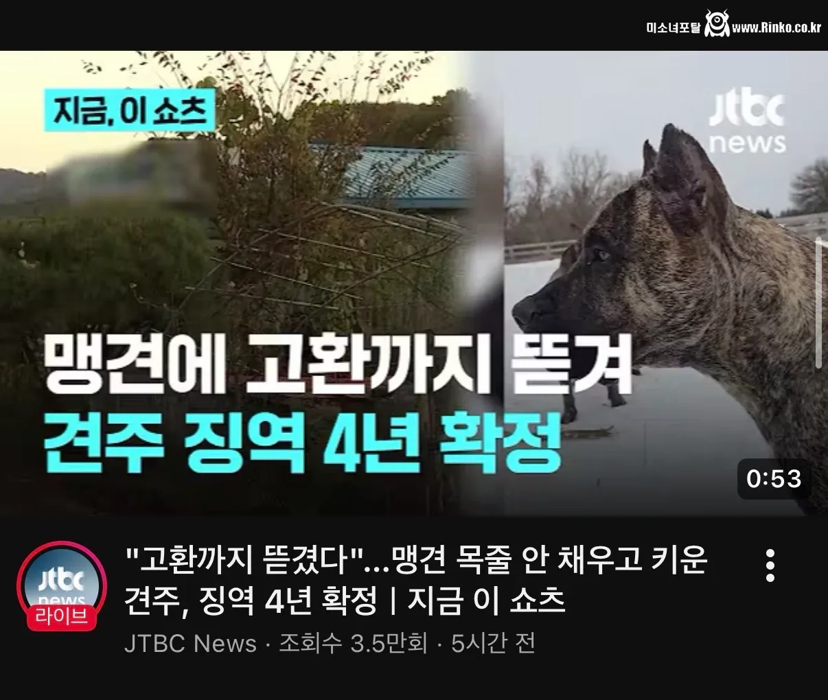 견주 관리부실로 맹견에게 고환 뜯긴 피해자