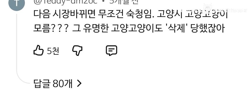 충주맨 사직 타이밍 이해가는 이유