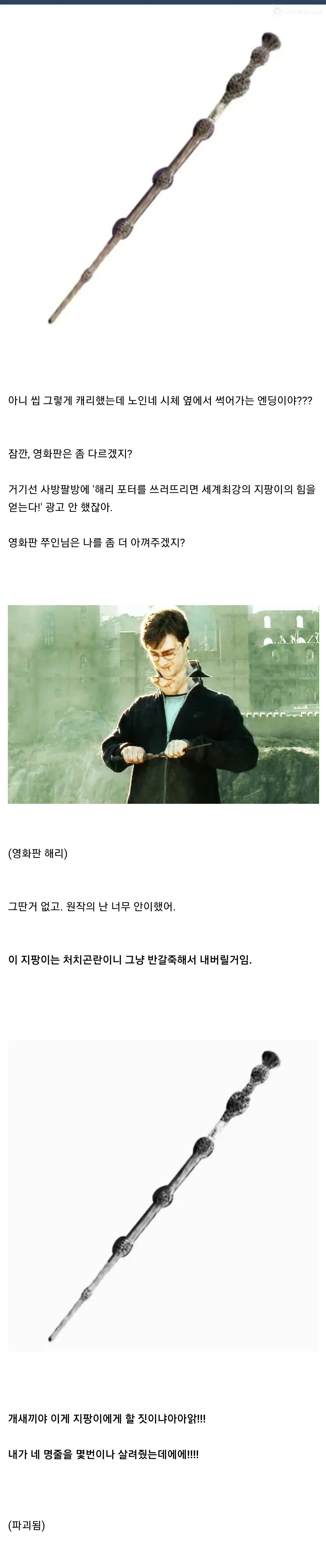 딱총나무 지팡이 시점에서 보는 해리포터