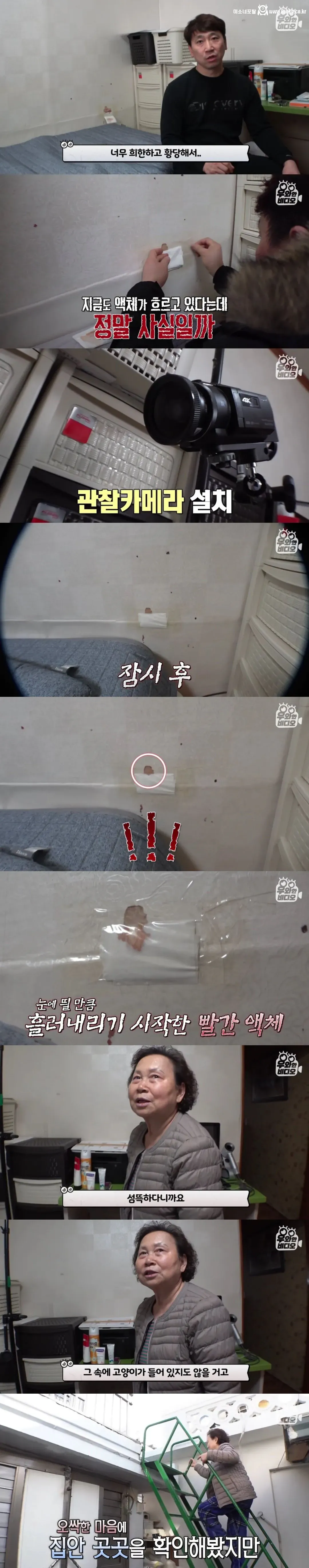 언제부턴가 방 벽에서 핏자국이 흘러내리는 집