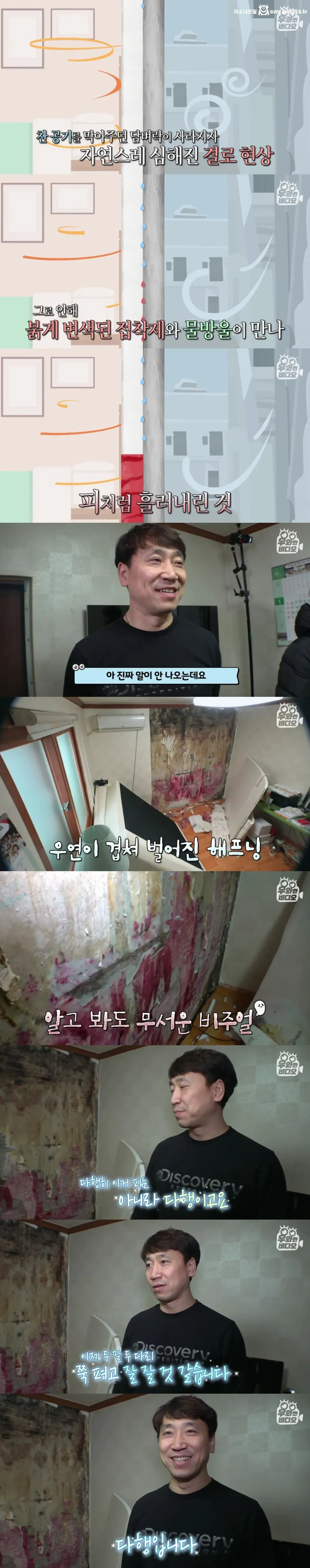 언제부턴가 방 벽에서 핏자국이 흘러내리는 집