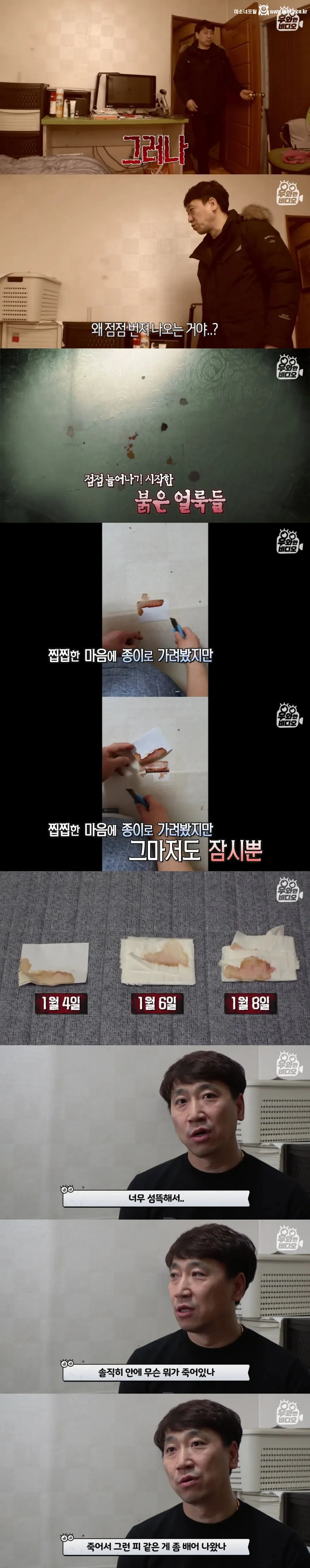 언제부턴가 방 벽에서 핏자국이 흘러내리는 집