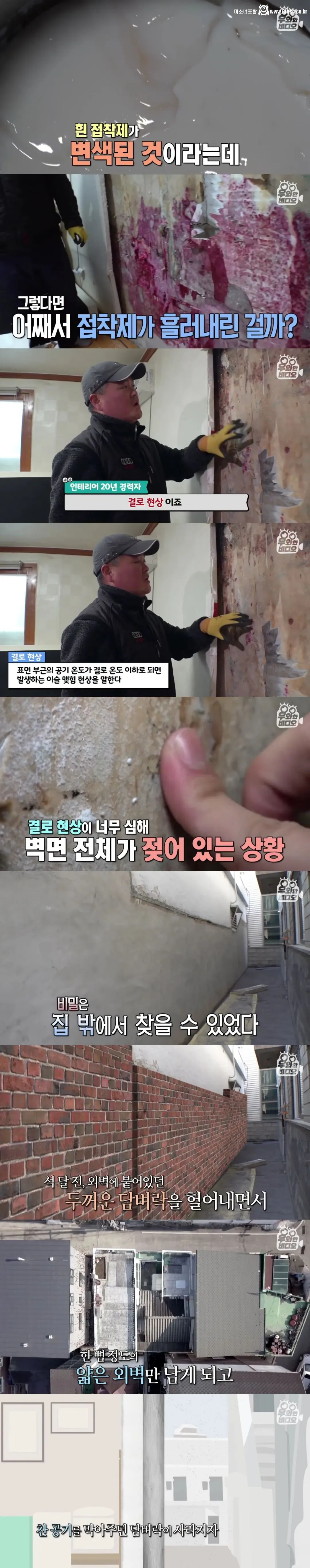 언제부턴가 방 벽에서 핏자국이 흘러내리는 집