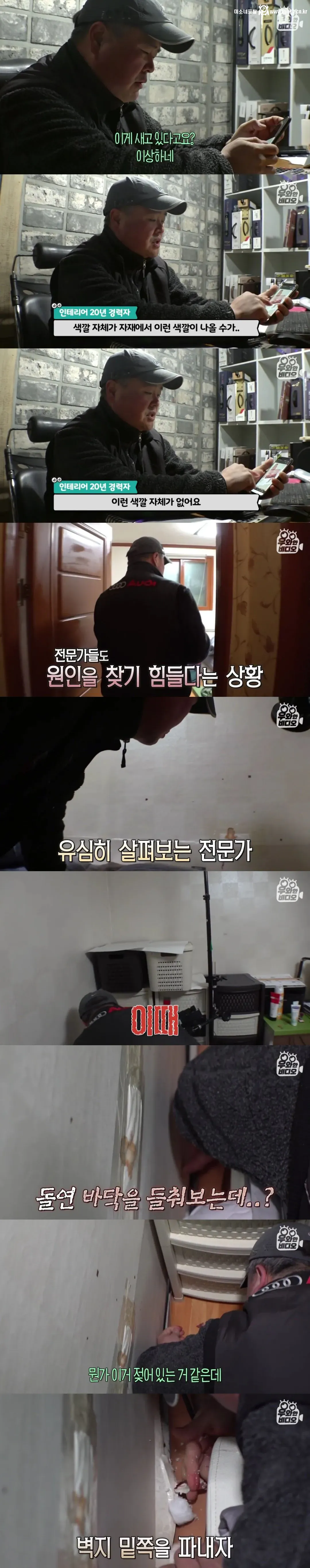 언제부턴가 방 벽에서 핏자국이 흘러내리는 집