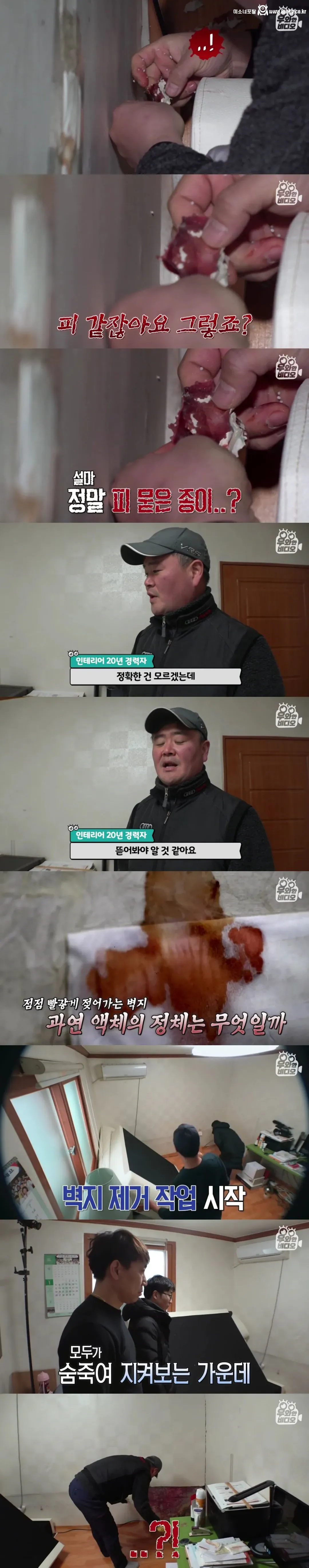 언제부턴가 방 벽에서 핏자국이 흘러내리는 집