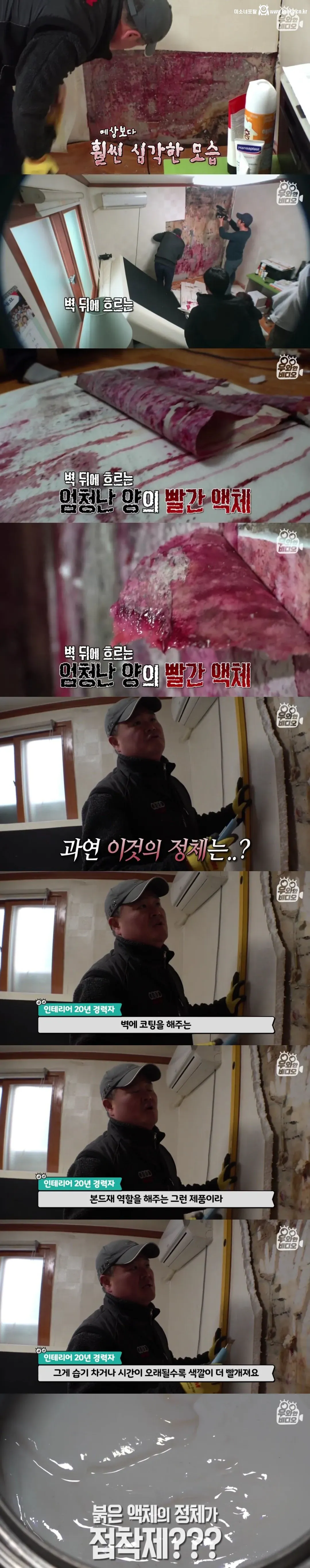 언제부턴가 방 벽에서 핏자국이 흘러내리는 집