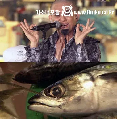 그시절 찐광기의 아이돌 라이브 무대 레전드 top5