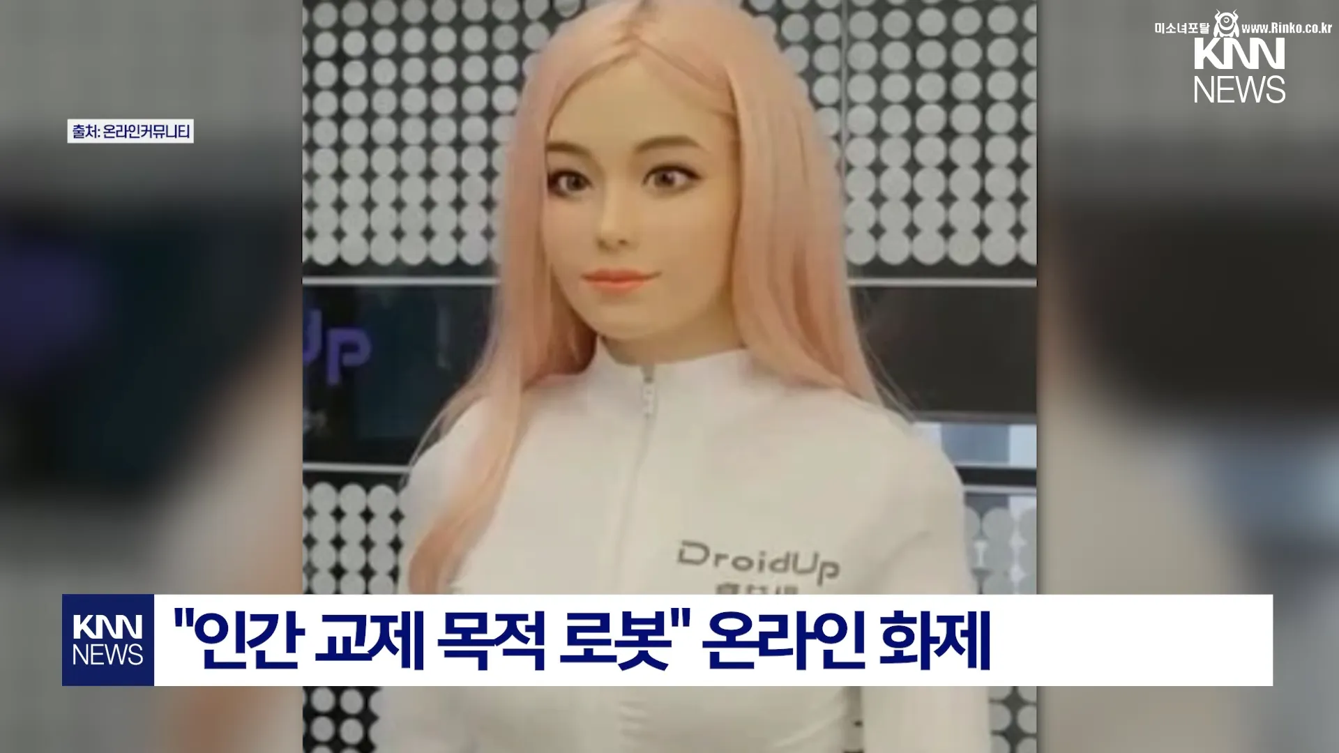 인간 교제 목적 로봇 출시 가격