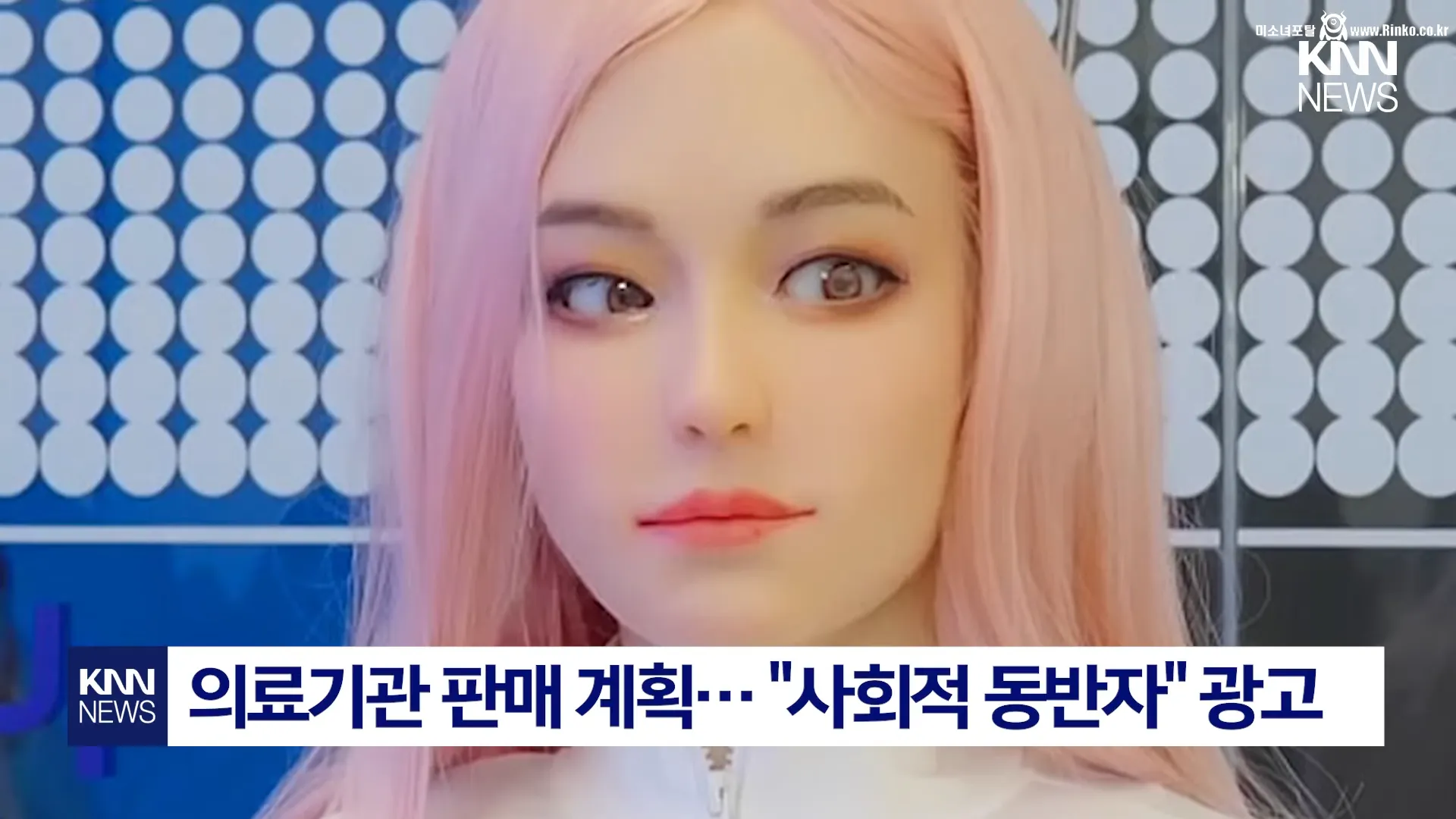 인간 교제 목적 로봇 출시 가격