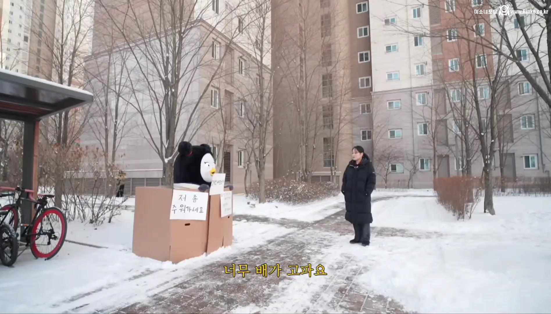 펭수가 대한민국에서 살아남은 이유