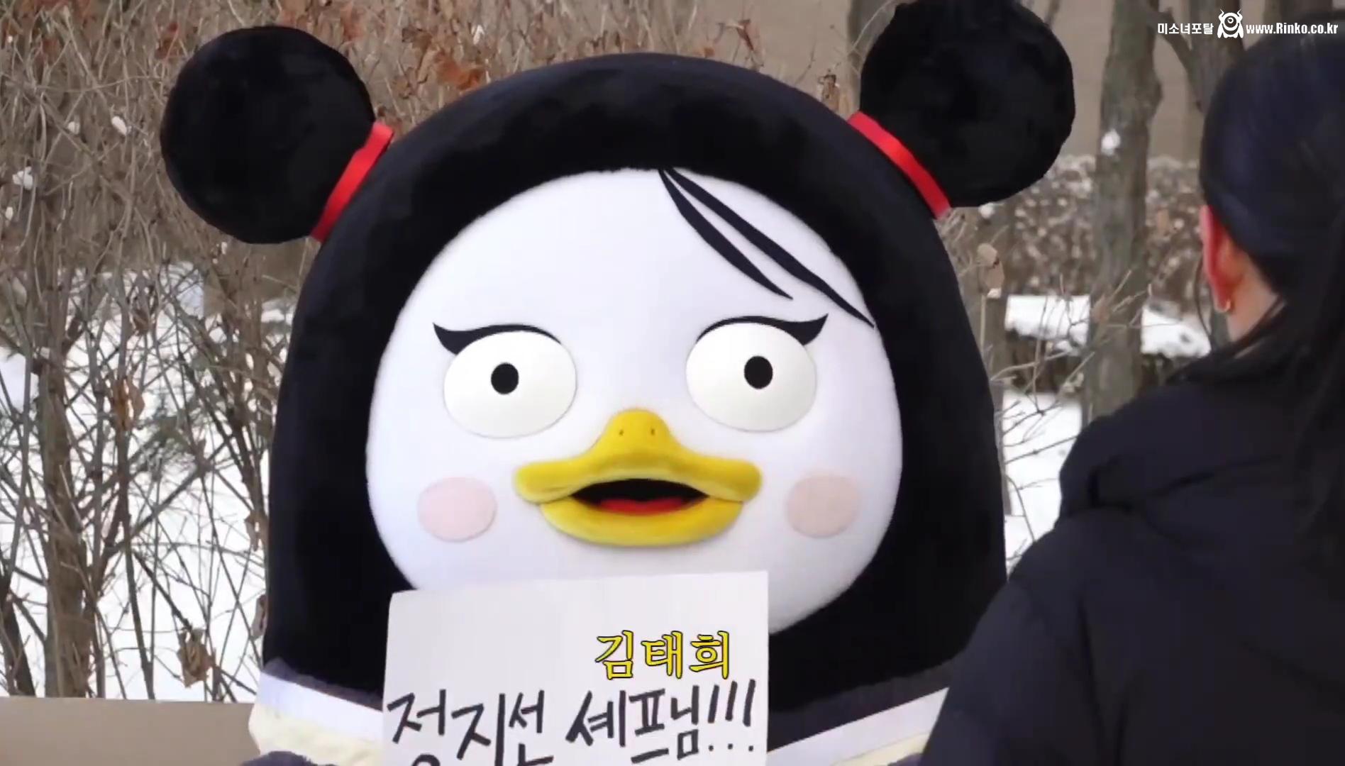 펭수가 대한민국에서 살아남은 이유