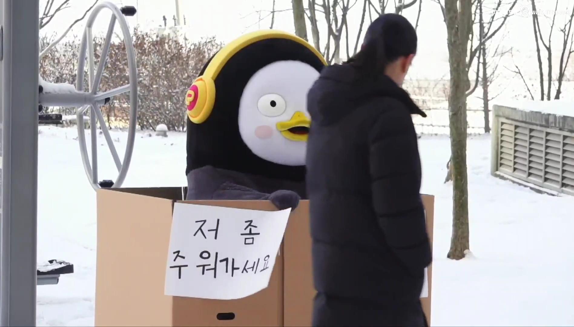 펭수가 대한민국에서 살아남은 이유