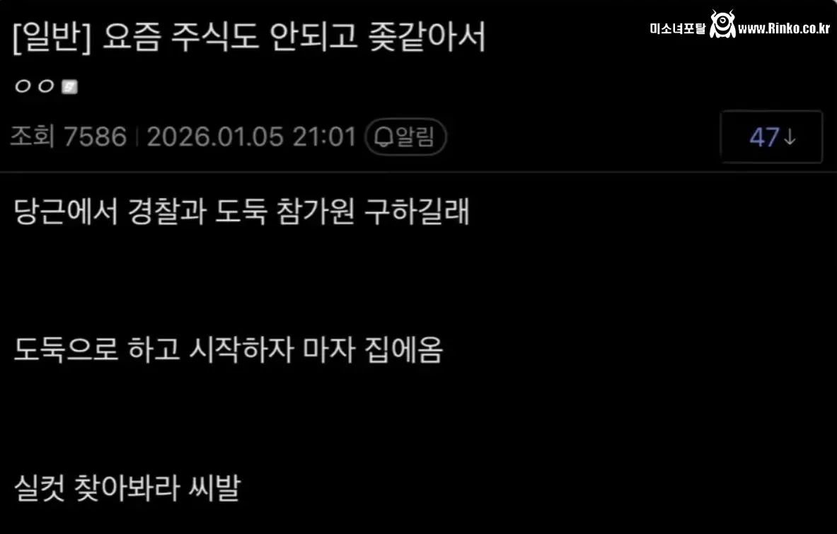 경찰과 도둑 참가한 디씨인