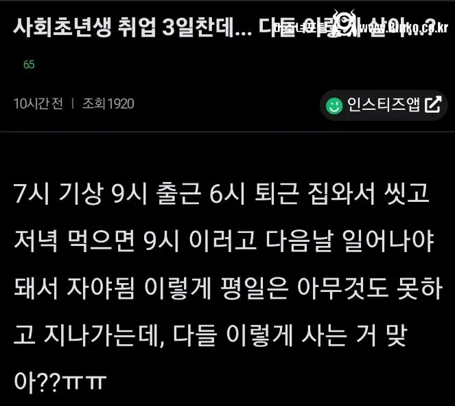 출근 3일차인데 이렇게 사는 거 맞냐?