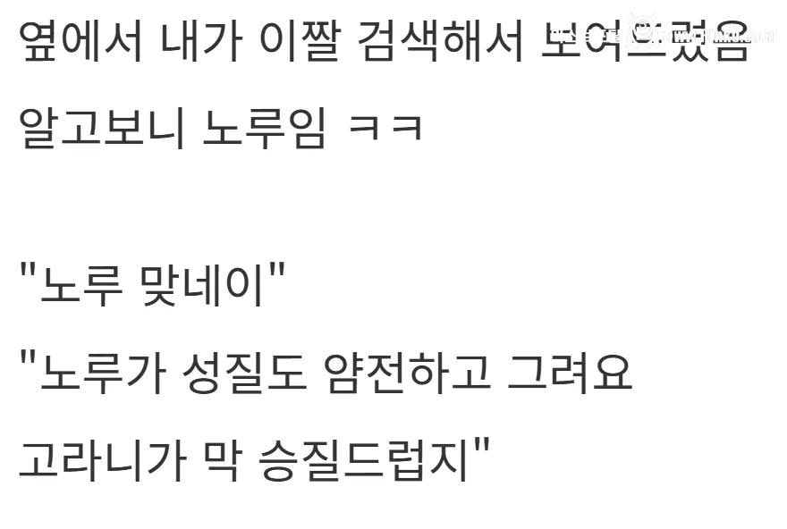 새해 초부터 고라니와 교통사고 난 디씨인