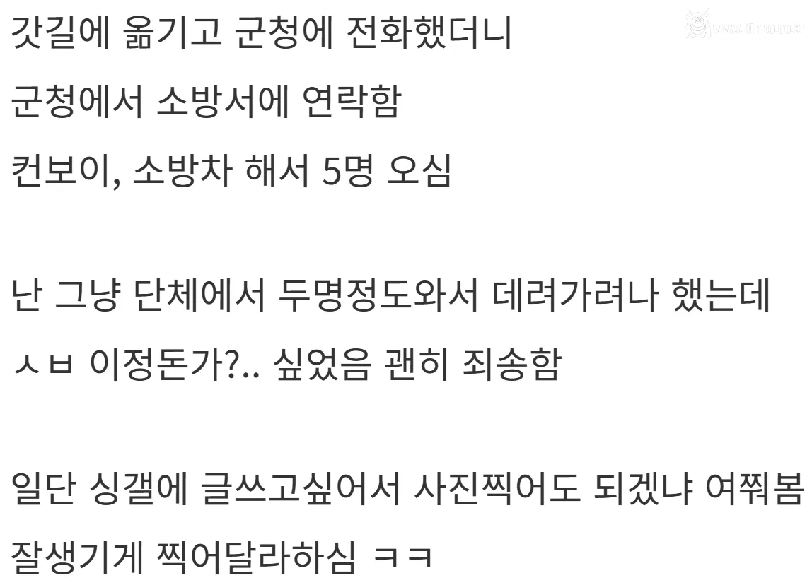 새해 초부터 고라니와 교통사고 난 디씨인