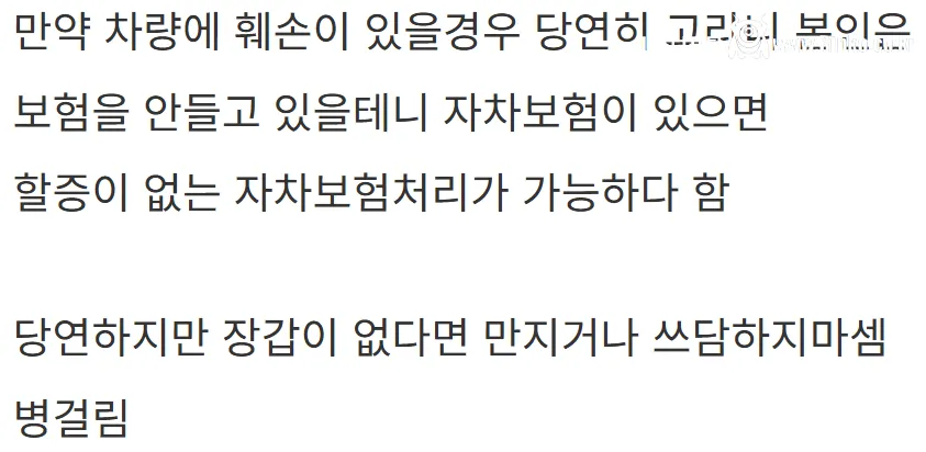 새해 초부터 고라니와 교통사고 난 디씨인