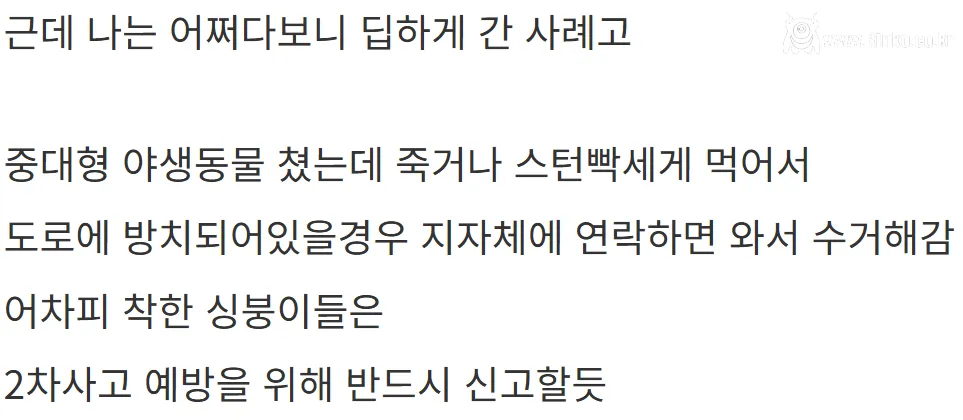 새해 초부터 고라니와 교통사고 난 디씨인