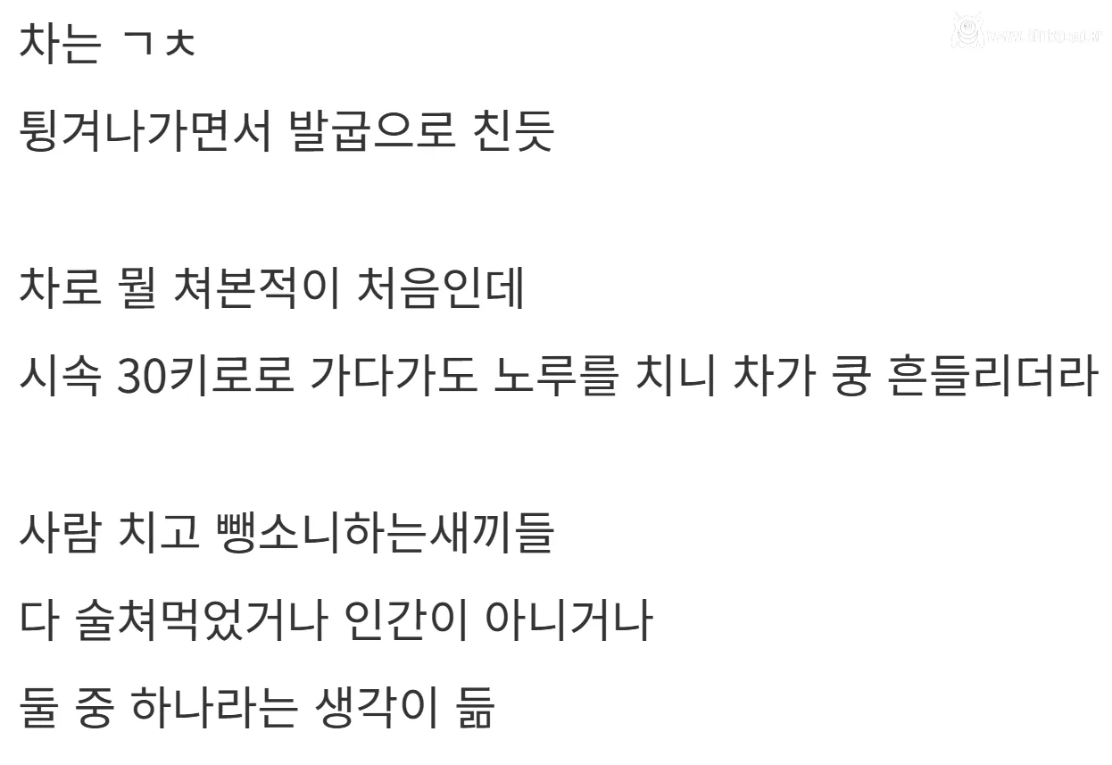 새해 초부터 고라니와 교통사고 난 디씨인