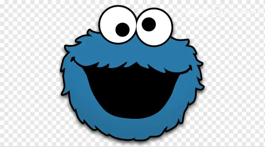 브라질에서 약 1,000만원에 팔렸다는 돌