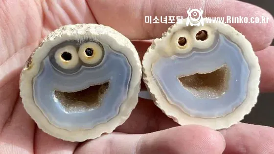 브라질에서 약 1,000만원에 팔렸다는 돌