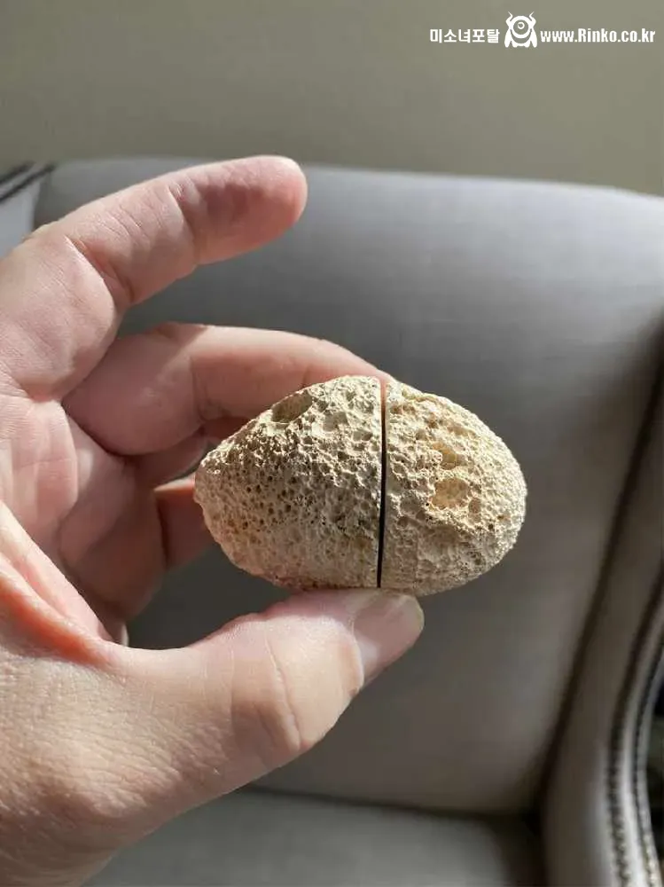 브라질에서 약 1,000만원에 팔렸다는 돌