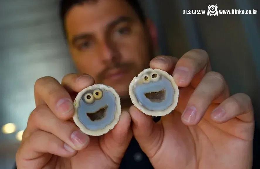 브라질에서 약 1,000만원에 팔렸다는 돌