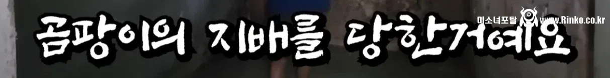 무려 쓰리룸인데 월세가 10만원