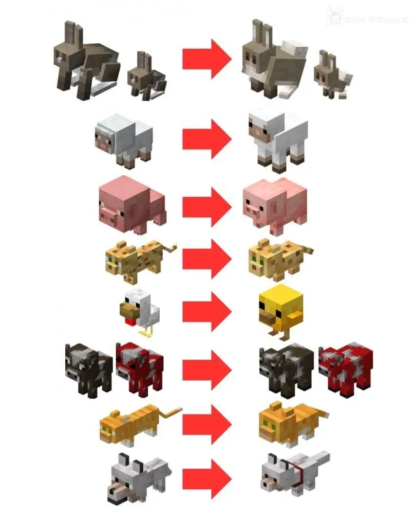 현재 난리났다는 마크 업데이트 근황