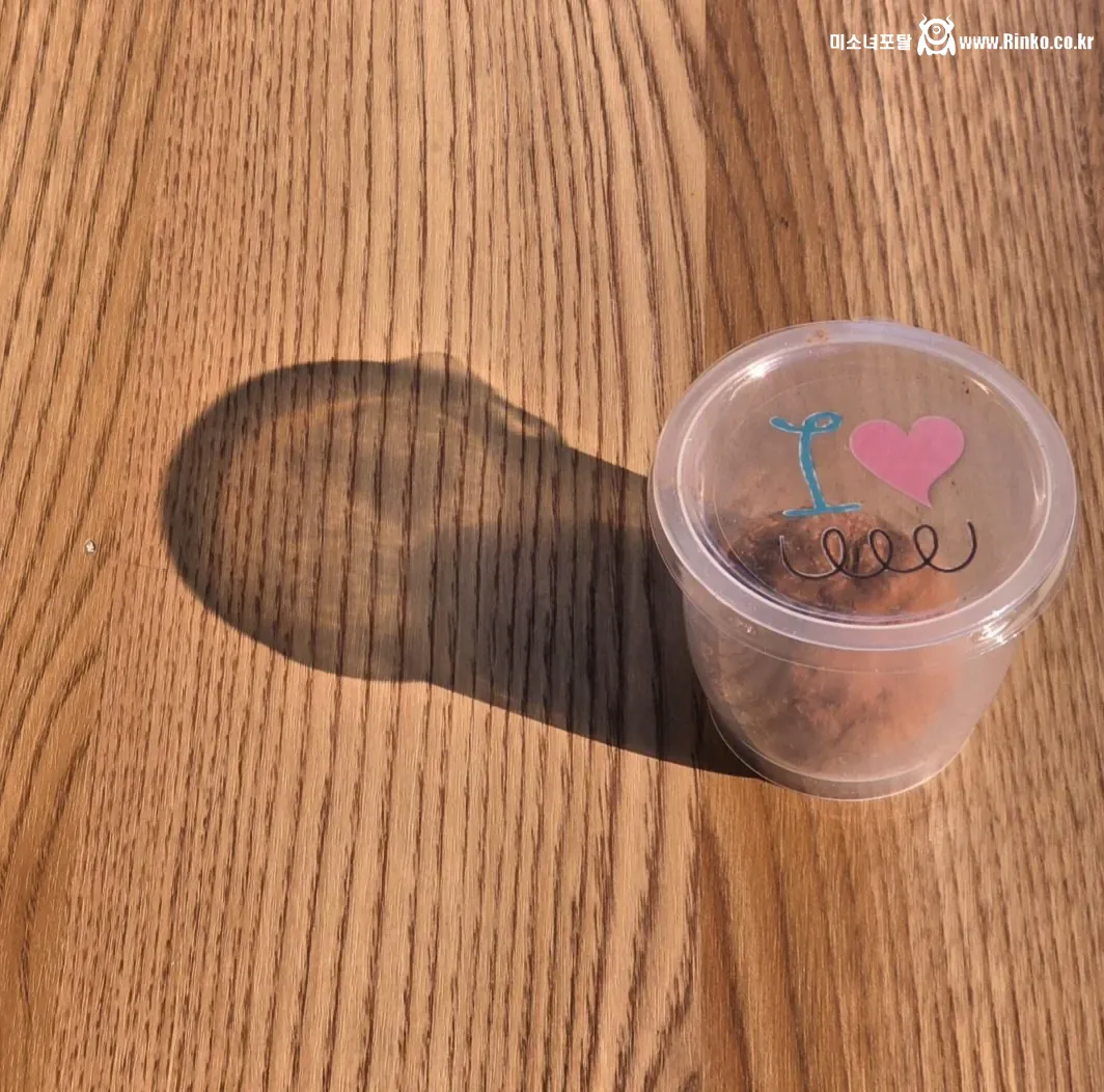 보육원에 두쫀쿠 기부하는 게 돈지랄이야?