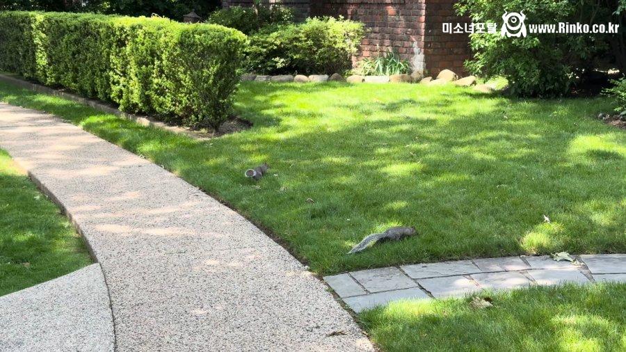 뉴욕에서 평화롭고 살기 좋다는 동네