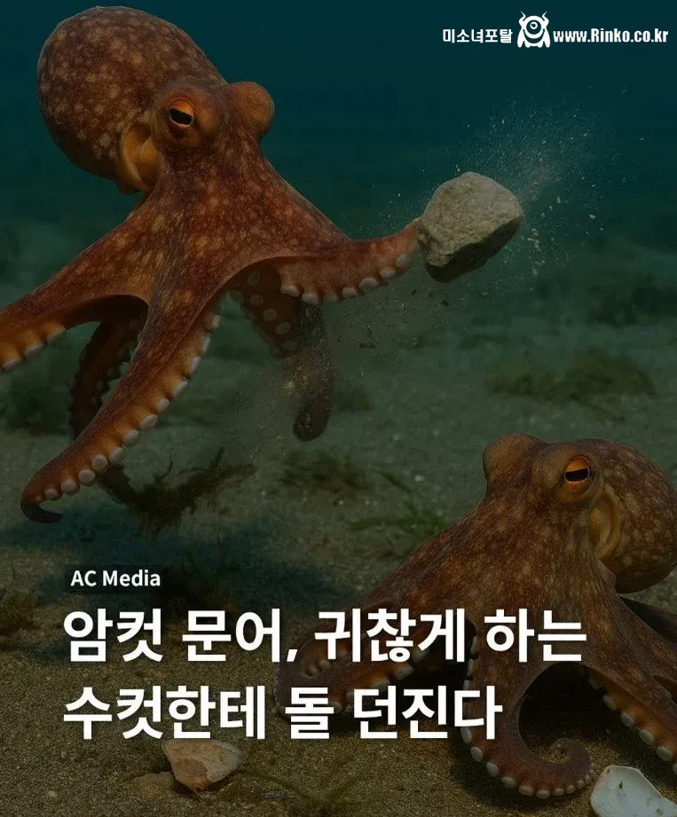문어가 찝쩍대는 수컷을 대하는 법