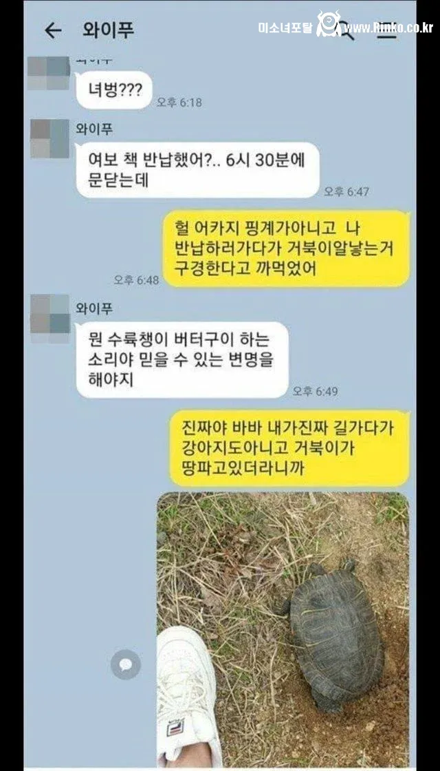 남편이 책 반납 늦은 이유