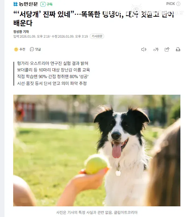 똑똑한 댕댕이, 대화 엿듣고 단어 배운다