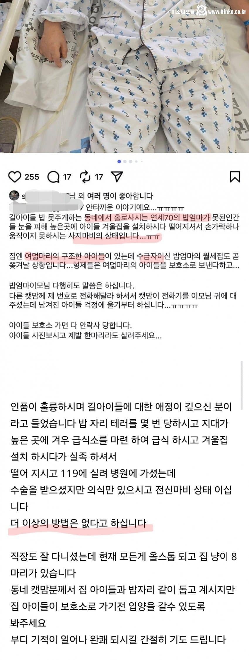 70대 캣맘이 높은곳에 고양이집 설치하다 떨어져 전신마비