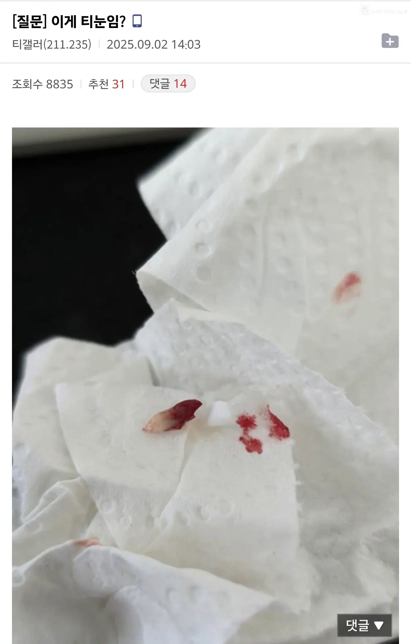 약혐) 티눈갤에 등장한 토니 스타크