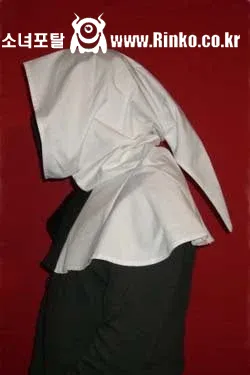 중세 유럽 귀족들과 귀부인들의 옷차림