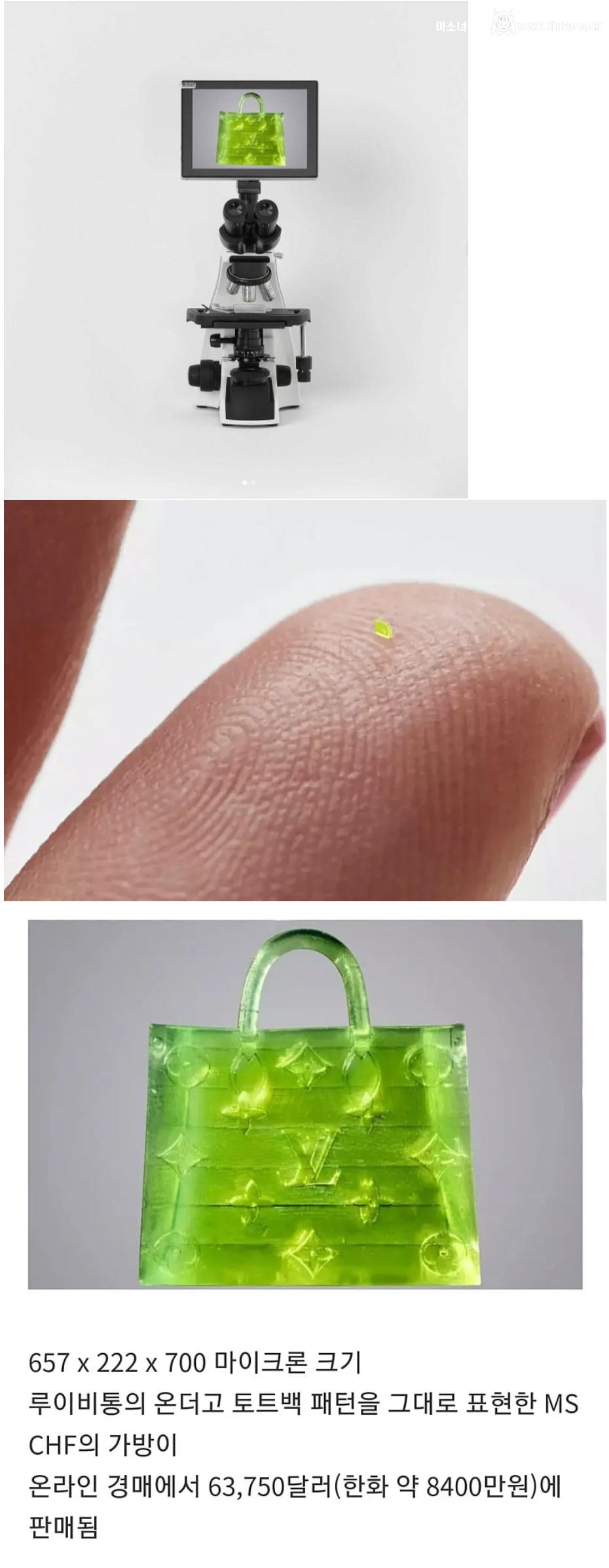 코딱지 크기의 8천만원짜리 루이비통 가방