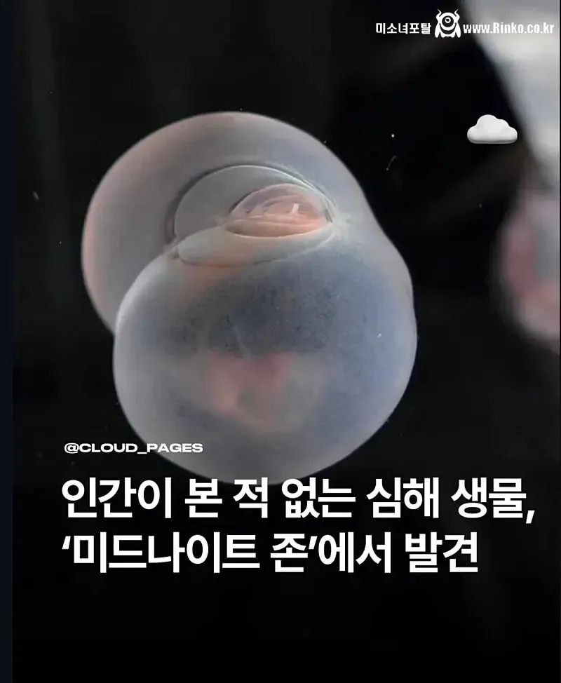 신종 심해생물 발견