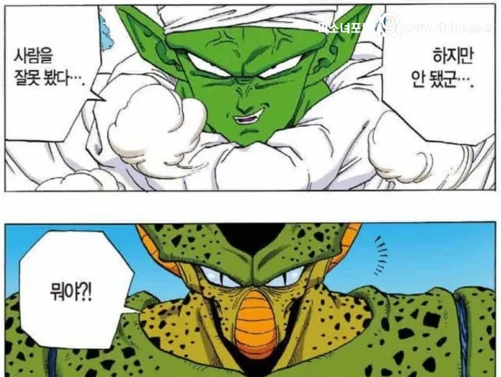 새로운 밈이 생겨버린 드래곤볼 캐릭터